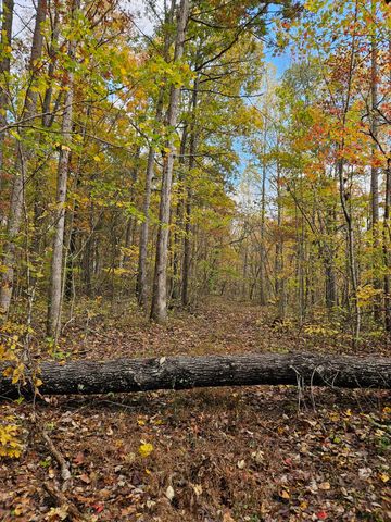 320 Cravens Hollow Road, Liberty, KY 42539