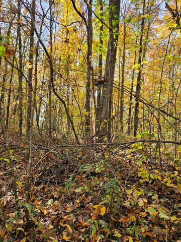 320 Cravens Hollow Road, Liberty, KY 42539