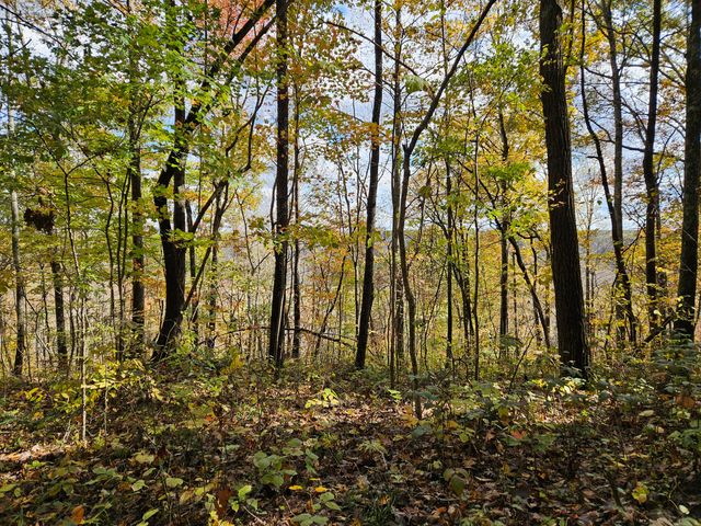 320 Cravens Hollow Road, Liberty, KY 42539