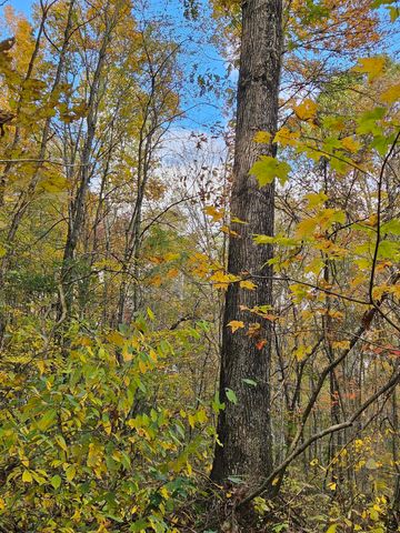 320 Cravens Hollow Road, Liberty, KY 42539