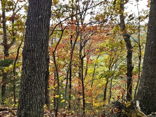 320 Cravens Hollow Road, Liberty, KY 42539
