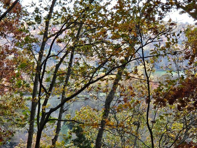 320 Cravens Hollow Road, Liberty, KY 42539
