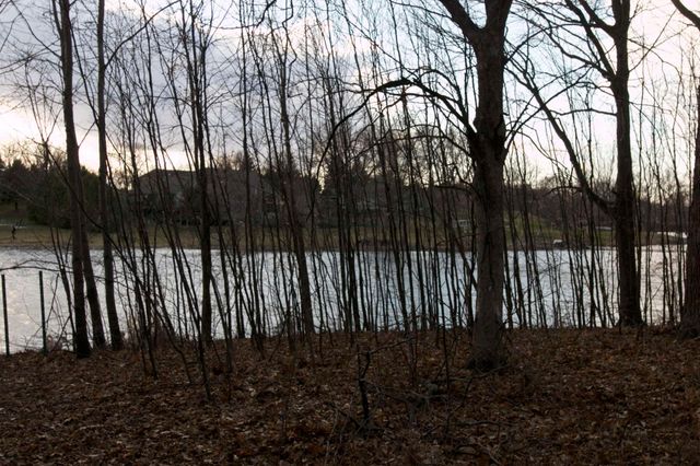 981 Peninsula Point Road, Shakopee, MN 55379