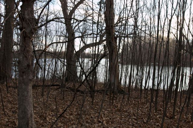 981 Peninsula Point Road, Shakopee, MN 55379