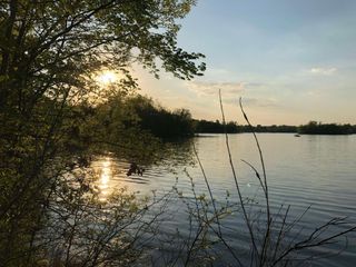 981 Peninsula Point Road, Shakopee, MN 55379