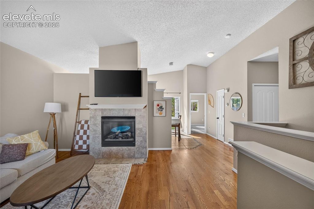 4808 Bridle Pass Drive, Colorado Springs, CO 80923 — photo 4