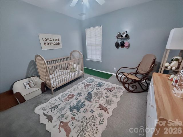 7479 Bluff Point Lane 13, Denver, NC 28037