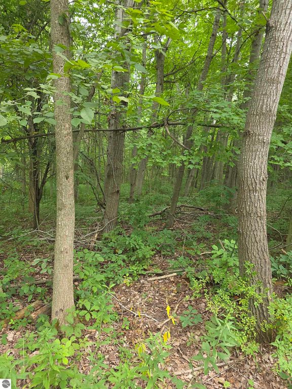 Image 31 of property listing at 5277 S Wise Road, Shepherd, MI 48883