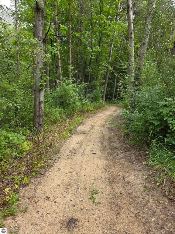 Image 32 of property listing at 5277 S Wise Road, Shepherd, MI 48883