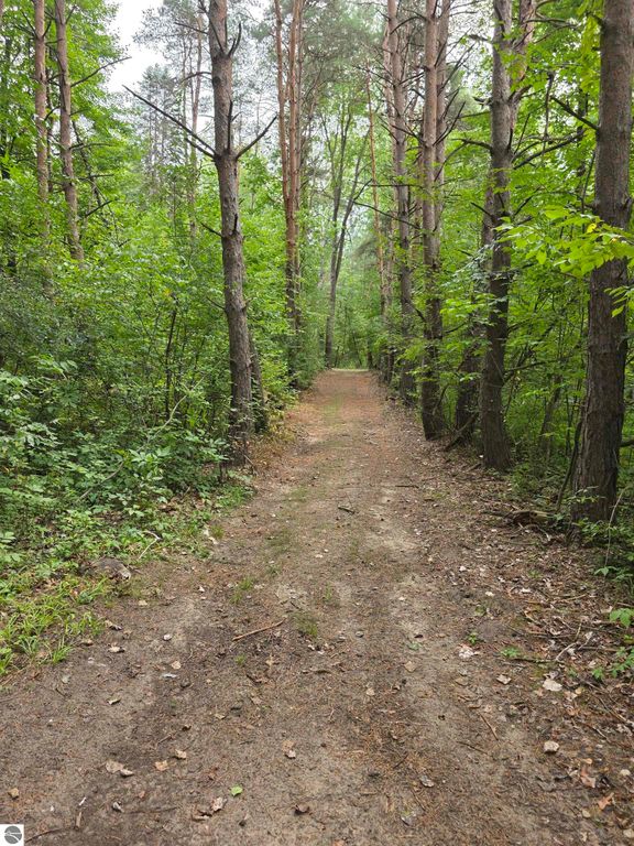 Image 33 of property listing at 5277 S Wise Road, Shepherd, MI 48883