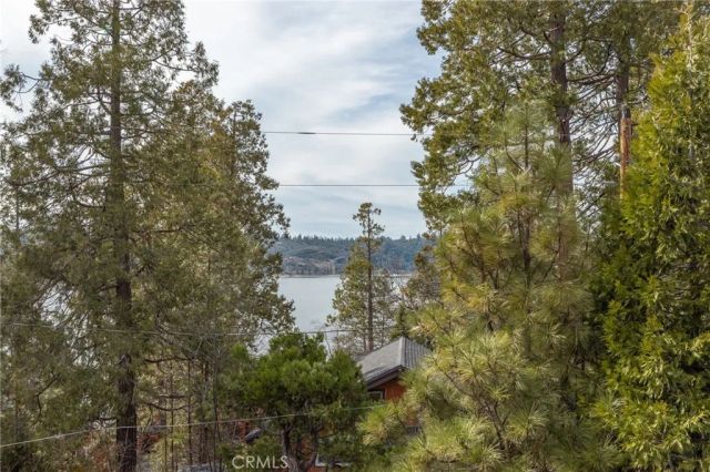 39173 Ski Slope, Bass Lake, CA 93604