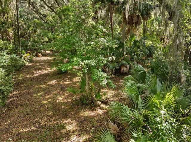 TBD SE WACAHOOTA ROAD, Micanopy, FL 32667