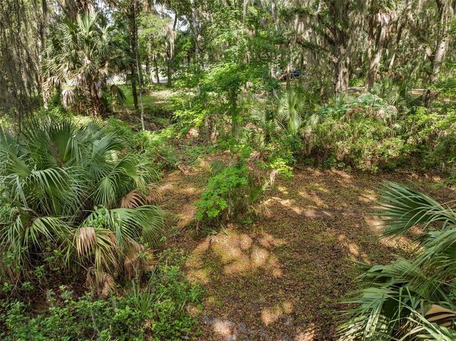 TBD SE WACAHOOTA ROAD, Micanopy, FL 32667
