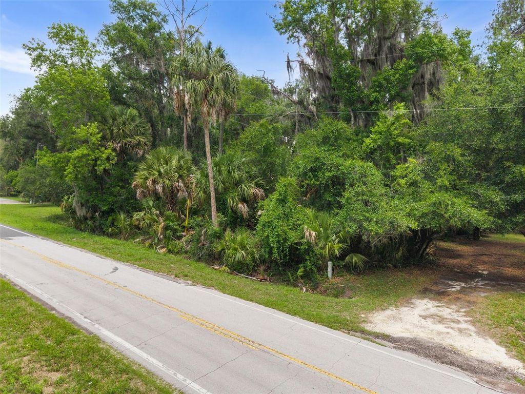 TBD SE WACAHOOTA ROAD, Micanopy, FL 32667