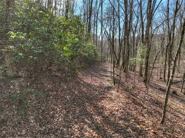 29 Robert Drive, Ellijay, GA 30536