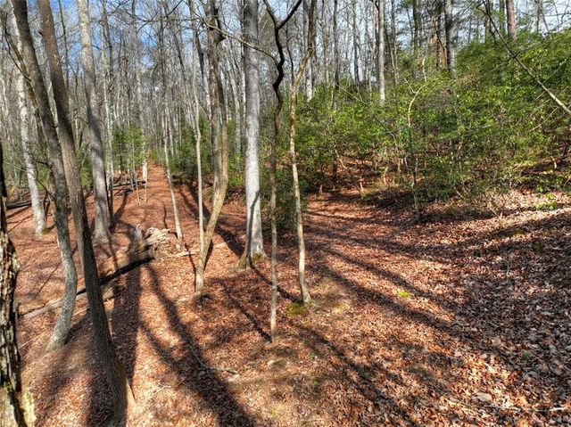 29 Robert Drive, Ellijay, GA 30536