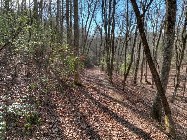 29 Robert Drive, Ellijay, GA 30536