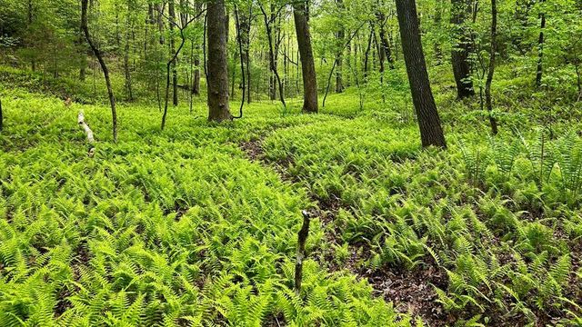 29 Robert Drive, Ellijay, GA 30536