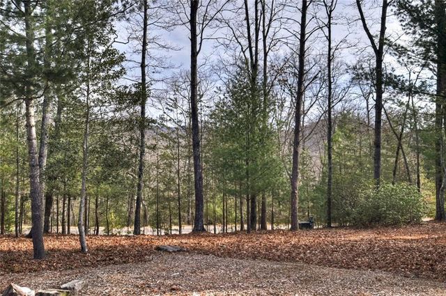 29 Robert Drive, Ellijay, GA 30536