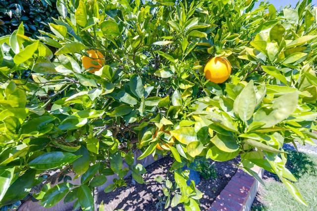 8483 Golden Ridge Road, Lakeside, CA 92040