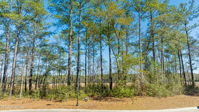 706 Liddell Place SE, Bolivia, NC 28422