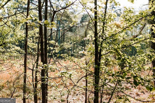 252 & 254 Fritz Mar Lane, Athens, GA 30607