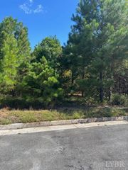 0 Commonwealth Drive, Madison Heights, VA 24572