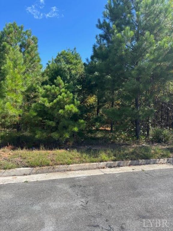 0 Commonwealth Drive, Madison Heights, VA 24572