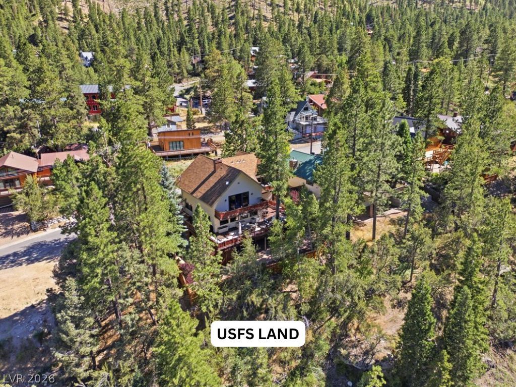 3940 White Fir Way, Mount Charleston, NV 89124 — photo 3
