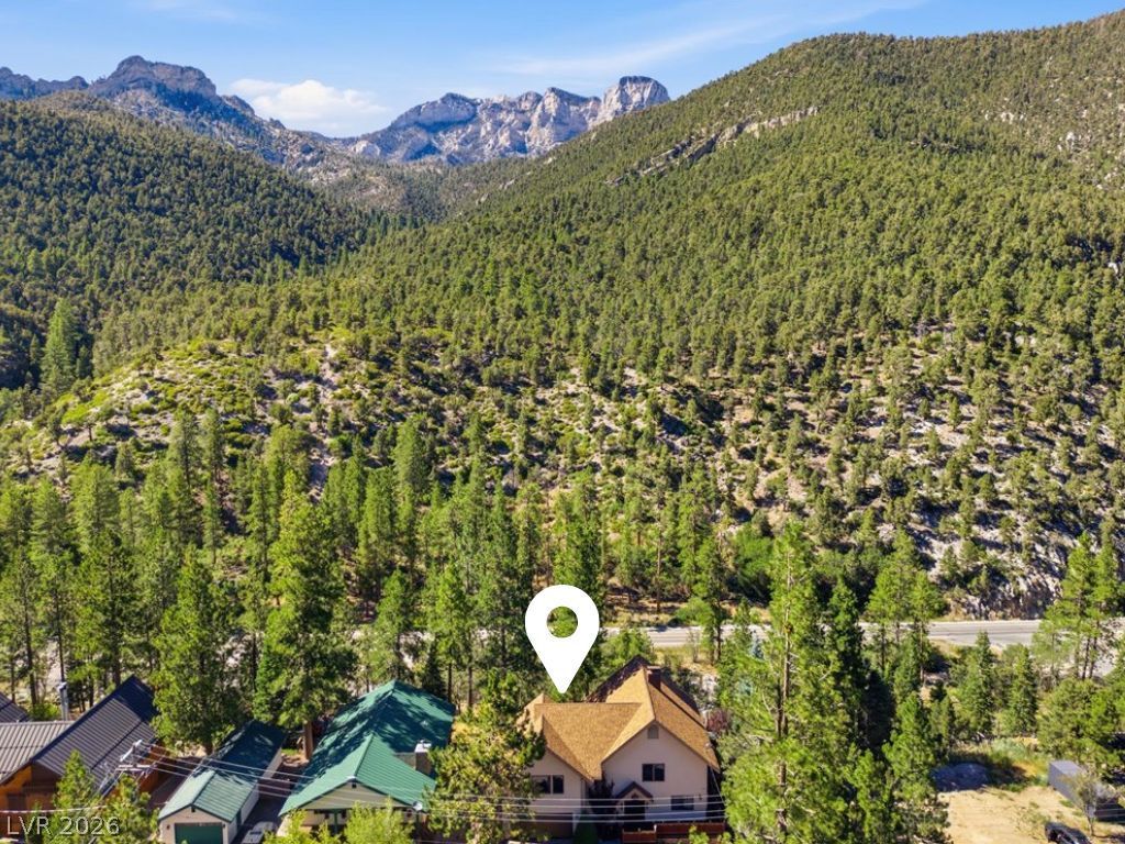 3940 White Fir Way, Mount Charleston, NV 89124 — photo 4