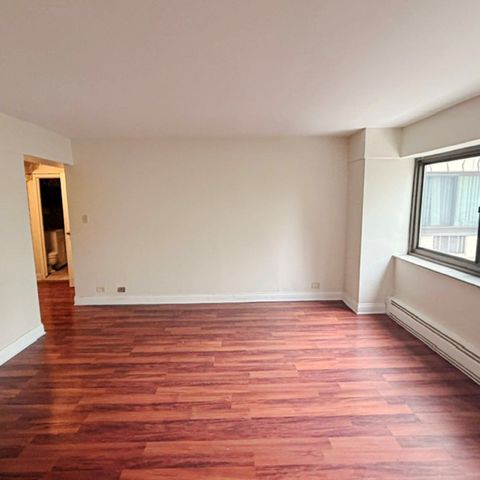 7337 S South Shore Drive 312, Chicago, IL 60649
