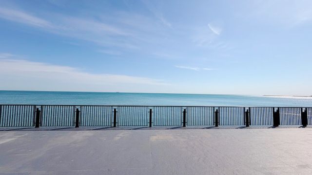 7337 S South Shore Drive 312, Chicago, IL 60649