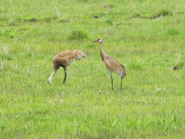 24850 Westside Road, Klamath Falls, OR 97601