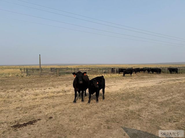 TBD Tbd, Idaho Falls, ID 83402