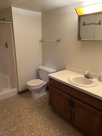 20148 Cypress Avenue, Lynwood, IL 60411