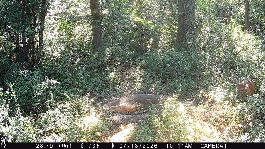 Image 13 of property listing at TBD 160th Avenue, Salem Twp, WI 54750