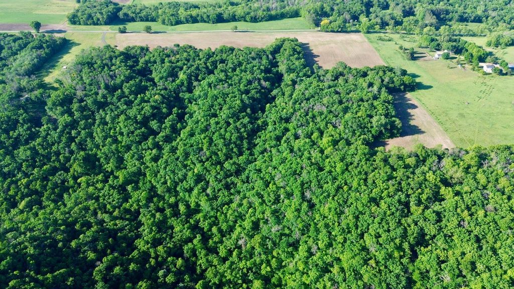 Image 2 of property listing at TBD 160th Avenue, Salem Twp, WI 54750