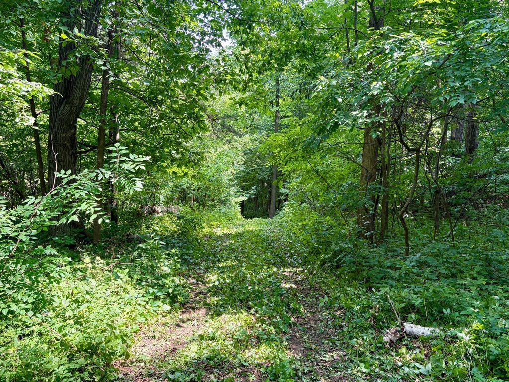 Image 26 of property listing at TBD 160th Avenue, Salem Twp, WI 54750