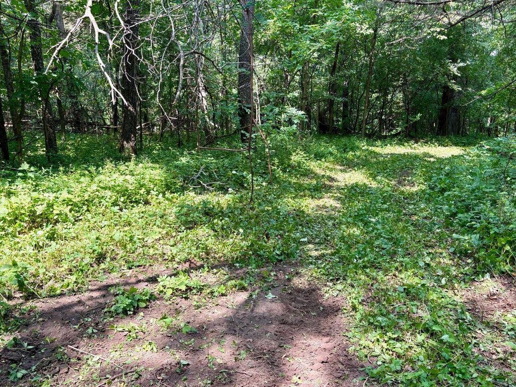 Image 27 of property listing at TBD 160th Avenue, Salem Twp, WI 54750