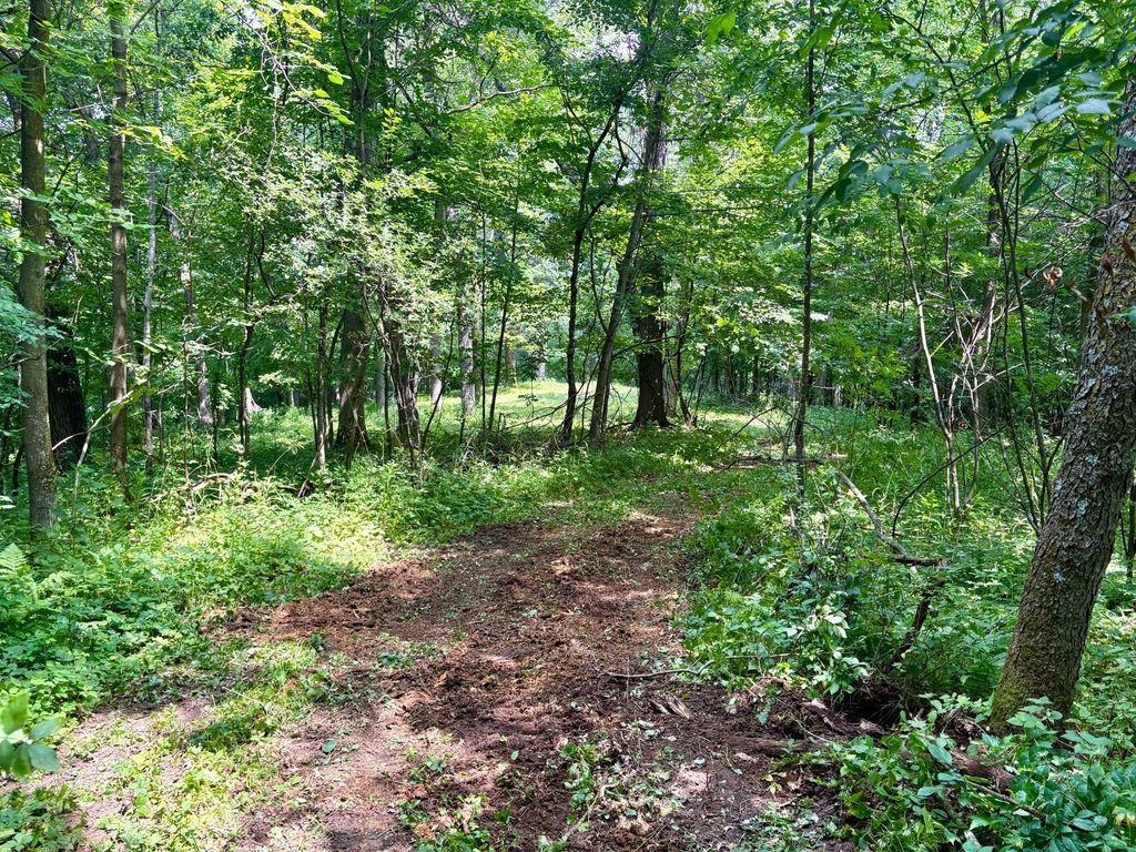 Image 28 of property listing at TBD 160th Avenue, Salem Twp, WI 54750