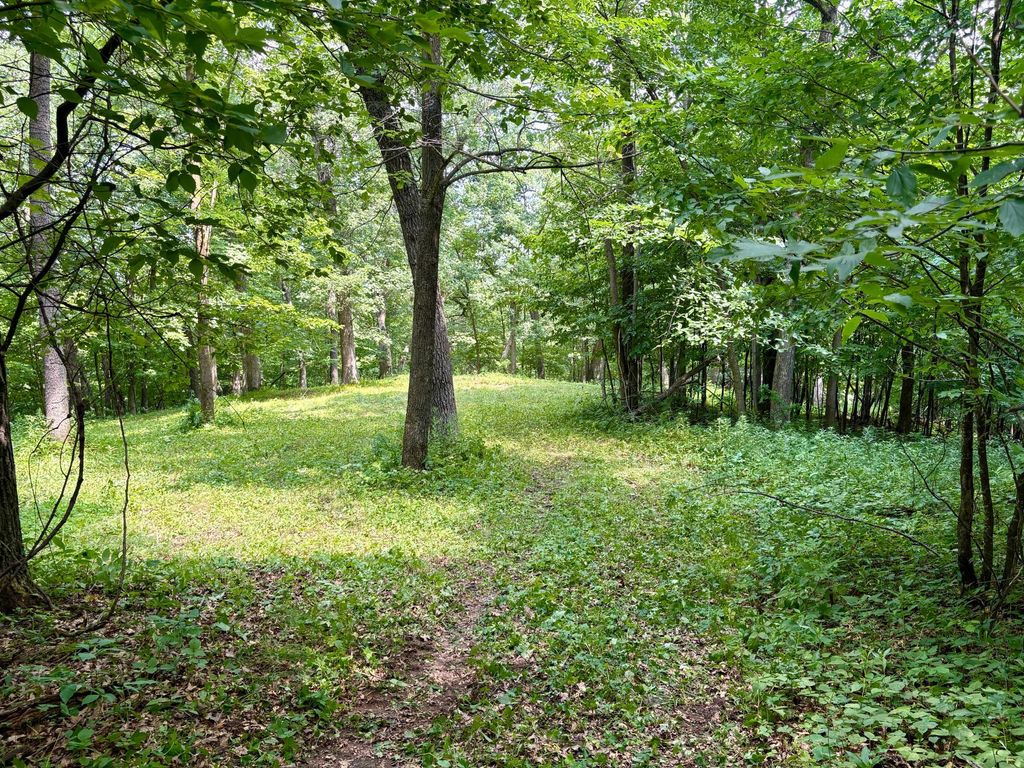 Image 29 of property listing at TBD 160th Avenue, Salem Twp, WI 54750