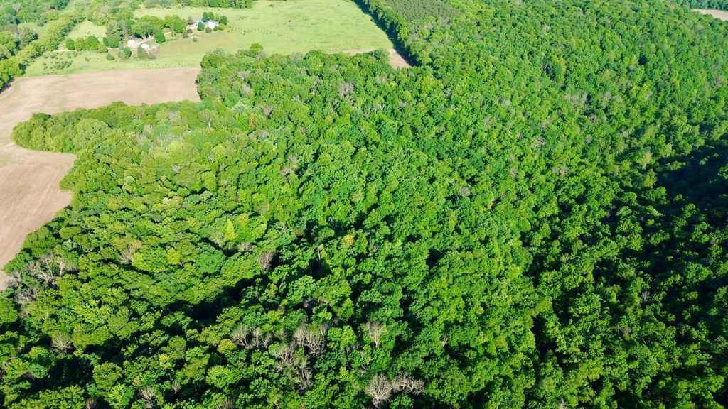 Image 3 of property listing at TBD 160th Avenue, Salem Twp, WI 54750