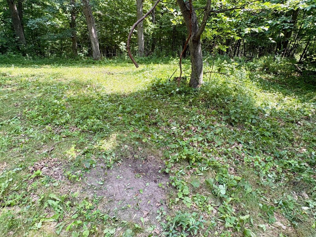 Image 30 of property listing at TBD 160th Avenue, Salem Twp, WI 54750