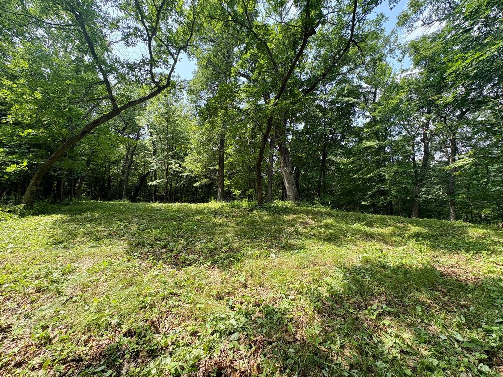 Image 31 of property listing at TBD 160th Avenue, Salem Twp, WI 54750