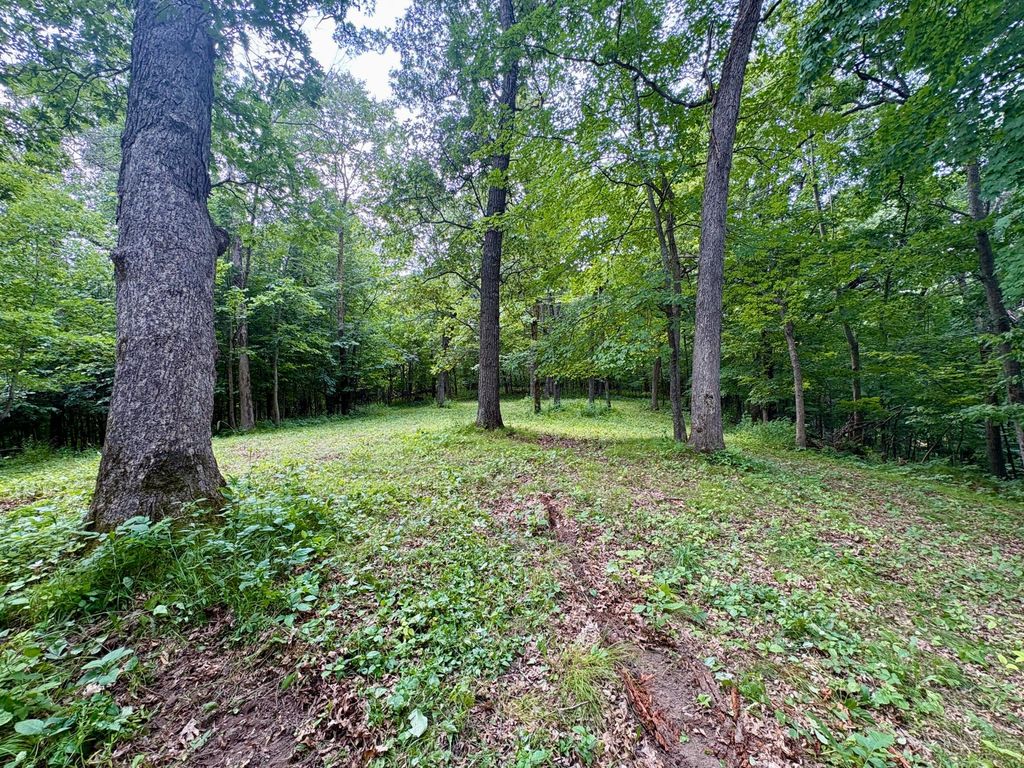 Image 32 of property listing at TBD 160th Avenue, Salem Twp, WI 54750