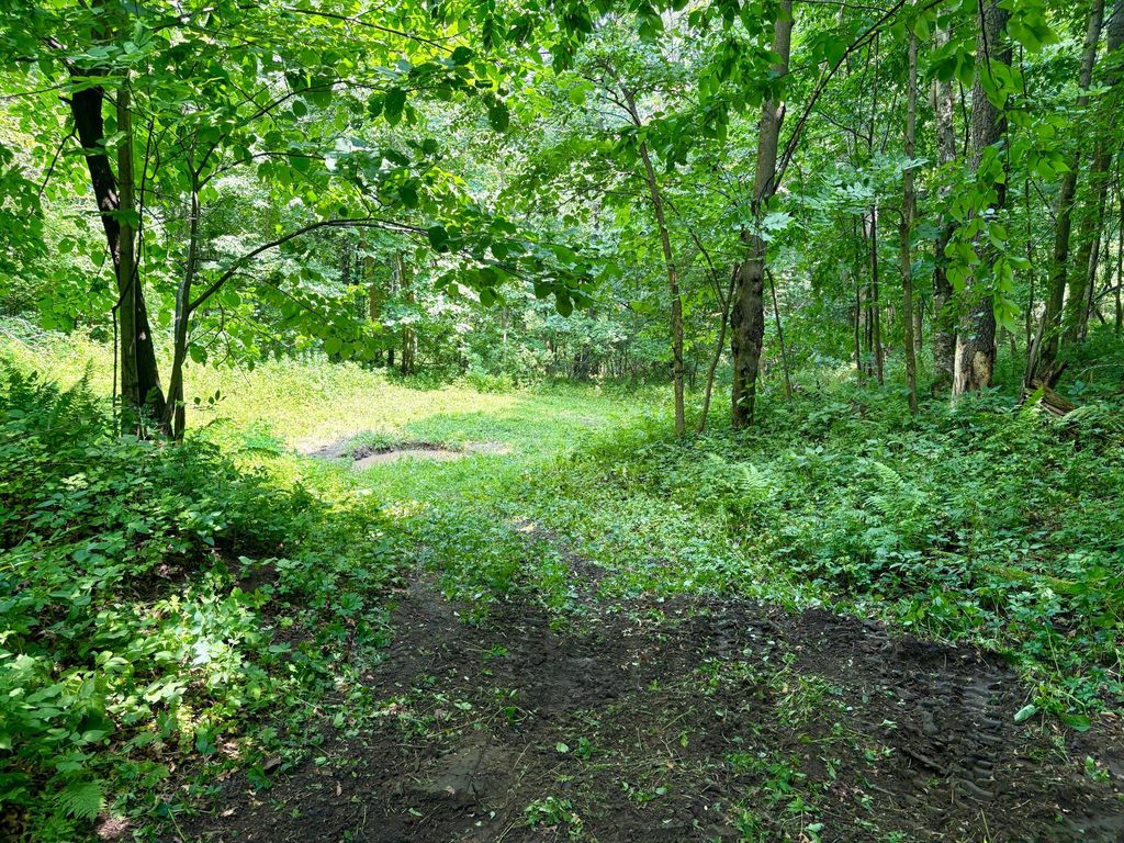 Image 33 of property listing at TBD 160th Avenue, Salem Twp, WI 54750