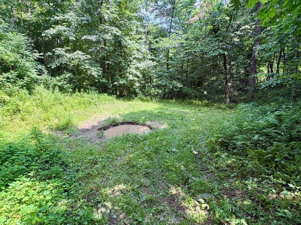 Image 34 of property listing at TBD 160th Avenue, Salem Twp, WI 54750