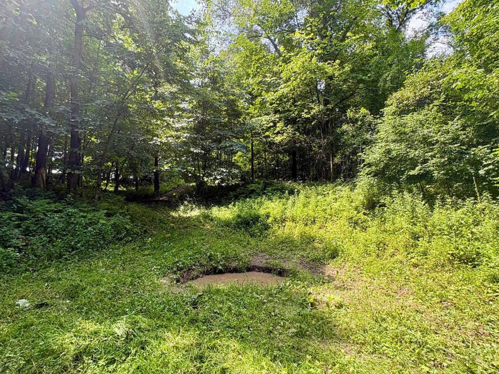 Image 35 of property listing at TBD 160th Avenue, Salem Twp, WI 54750