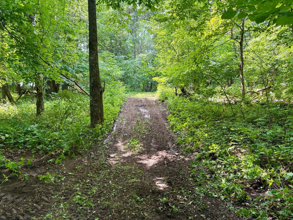 Image 36 of property listing at TBD 160th Avenue, Salem Twp, WI 54750