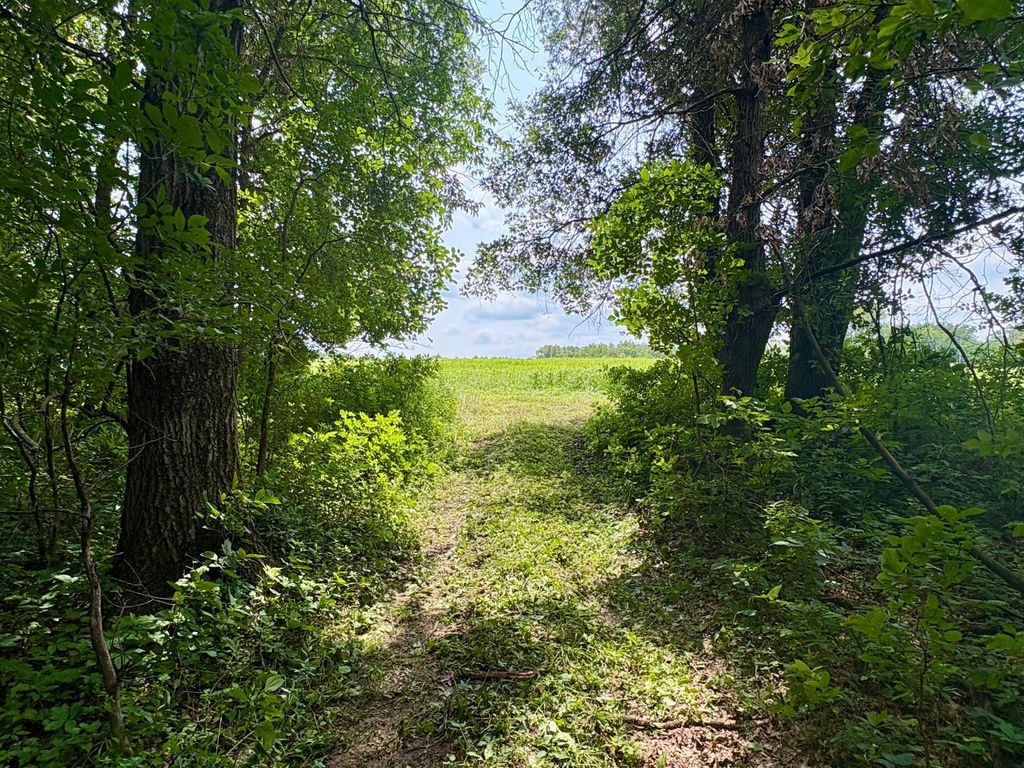 Image 37 of property listing at TBD 160th Avenue, Salem Twp, WI 54750
